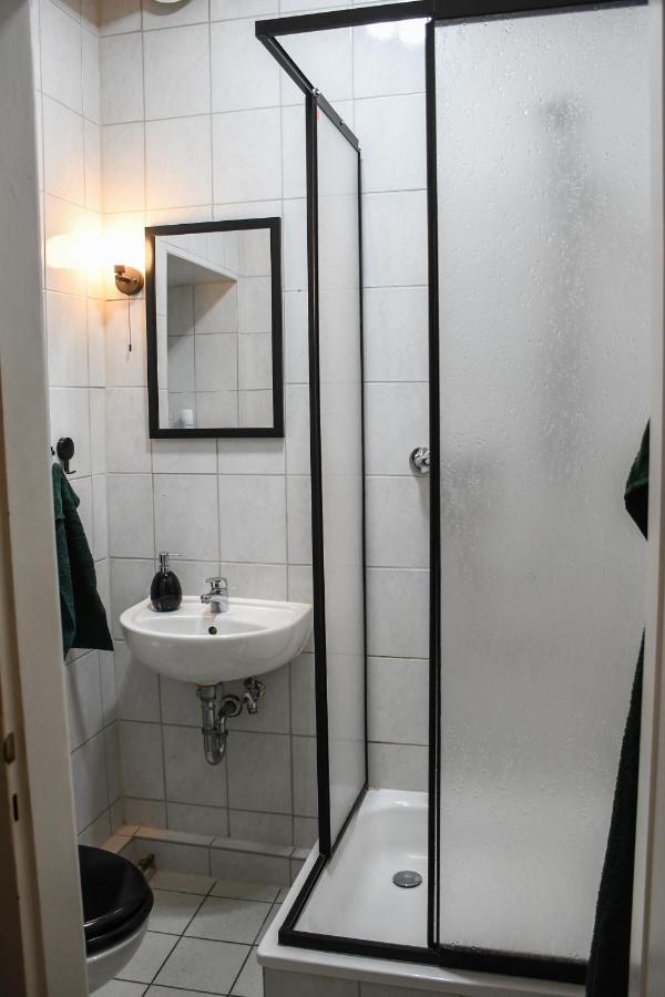 Moderne Ferienwohnung In Direkter Naehe Zur Uni, Netflix Gratis, Wlan, Waschmaschine, Geschirrspueler, Zentrum, Chemnitz Ngoại thất bức ảnh